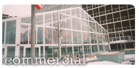 Alternative View of Olympic-Sized Pool Enclosure