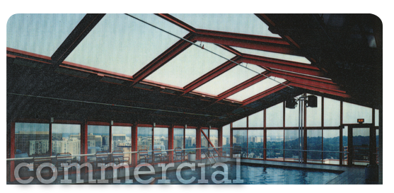 Commercial Glass Pool Enclosure