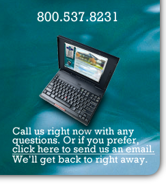 Contact CCSI International