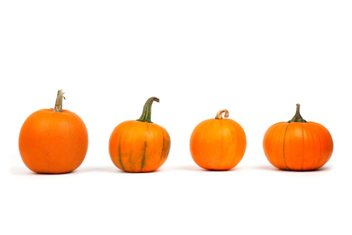 Pumpkins in a row