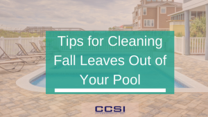 best way to get leaves out of pool