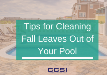 Tips for cleaning fall leaves out of your pool